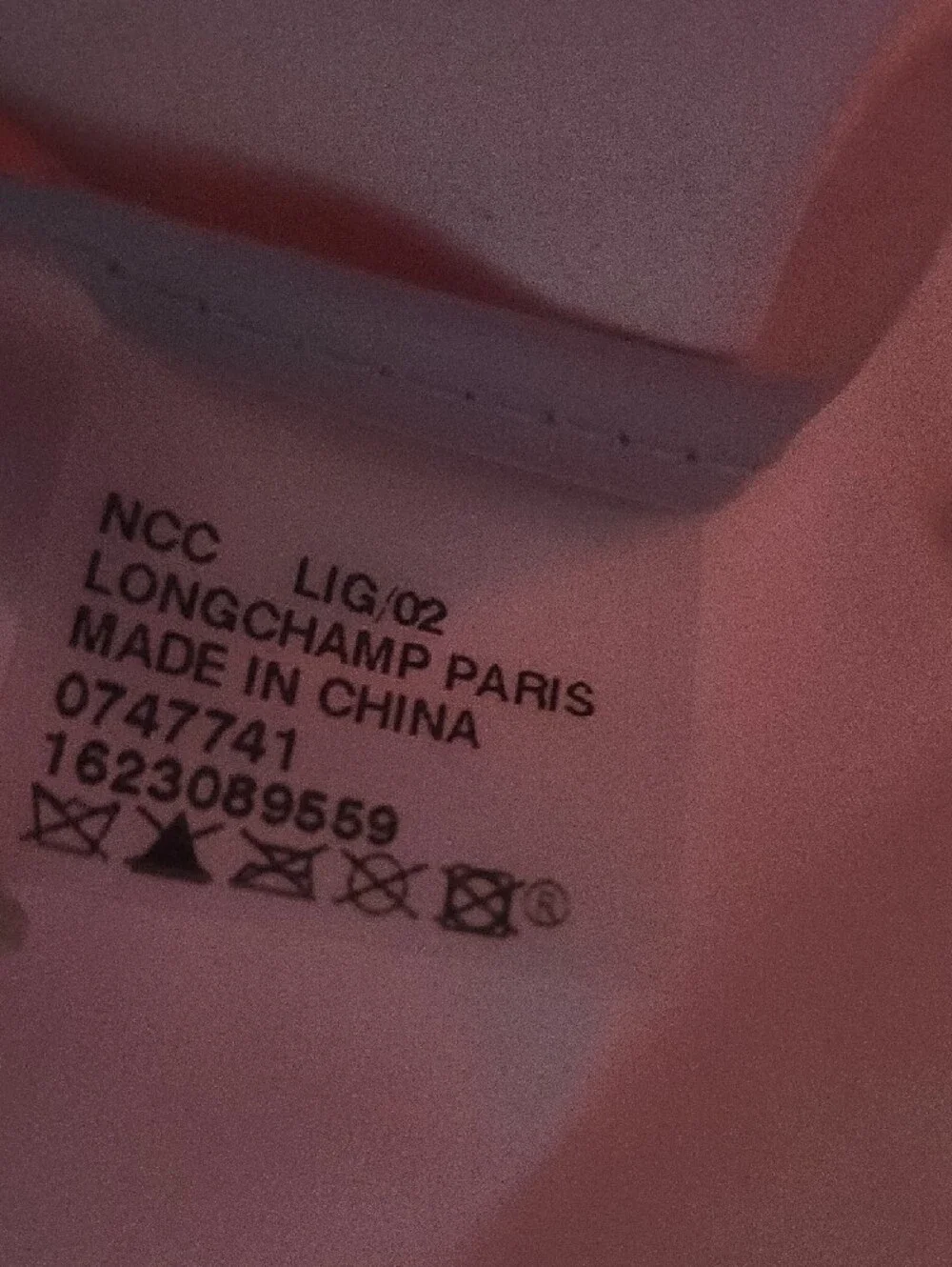 Longchamp Le Pliage Tote